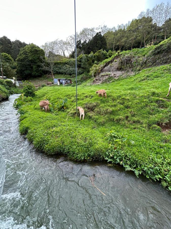 B&C Furnas Houseヴィラ エクステリア 写真